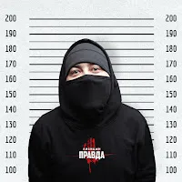 Лисицын — Правда — обложка